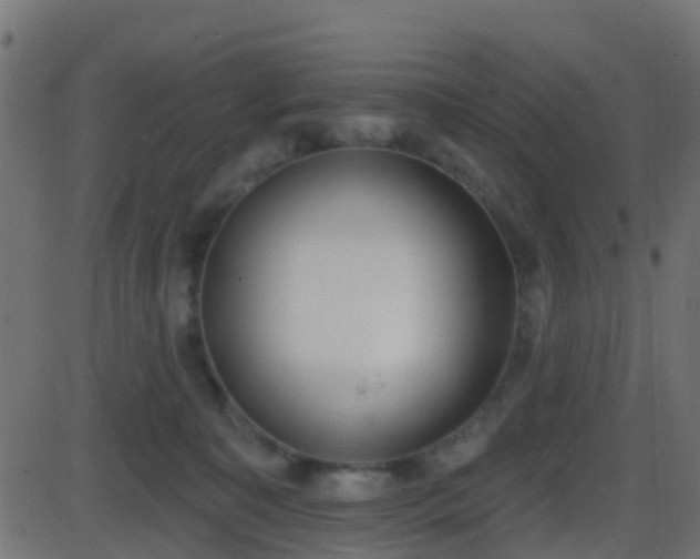 X0000086270323200704051316