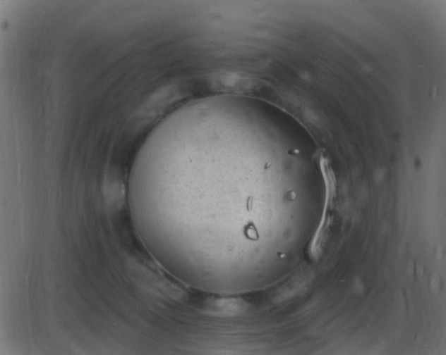 X0000086270324200704051316