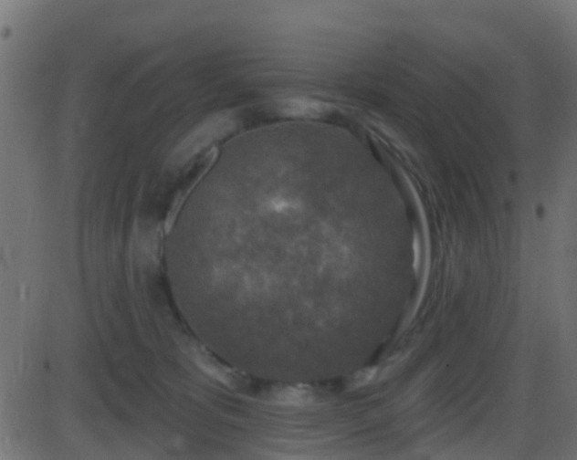 X0000086270325200704051316