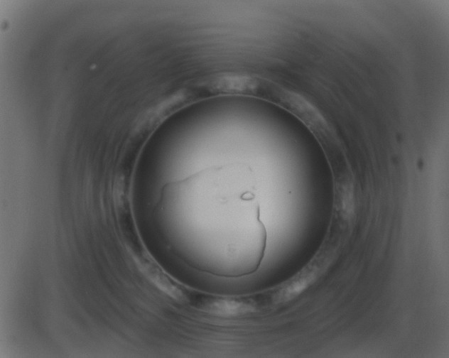 X0000086270326200704051316