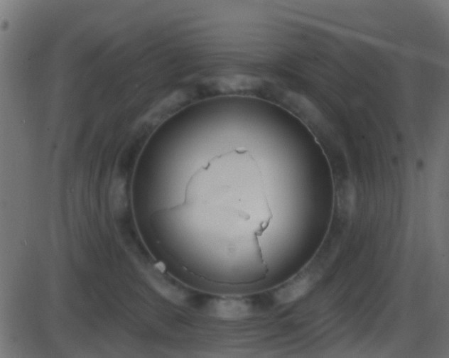 X0000086270327200704051316