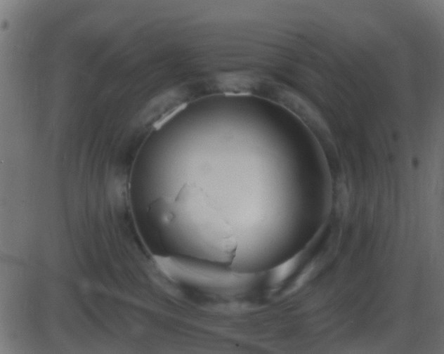 X0000086270329200704051316