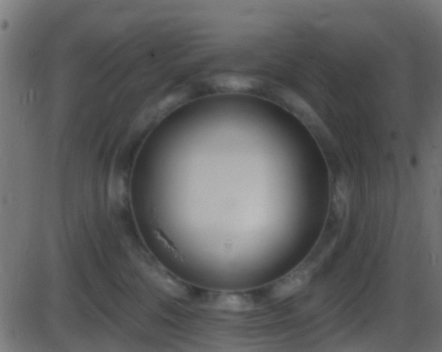 X0000086270330200704051316