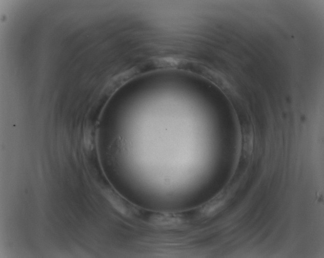 X0000086270331200704051316