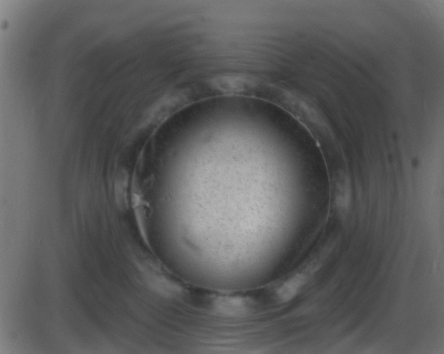 X0000086270332200704051316