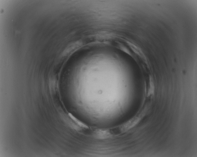 X0000086270333200704051316