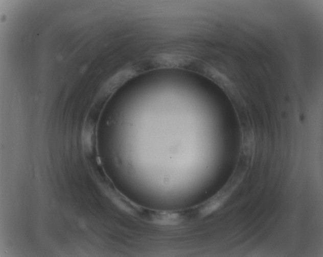 X0000086270334200704051316