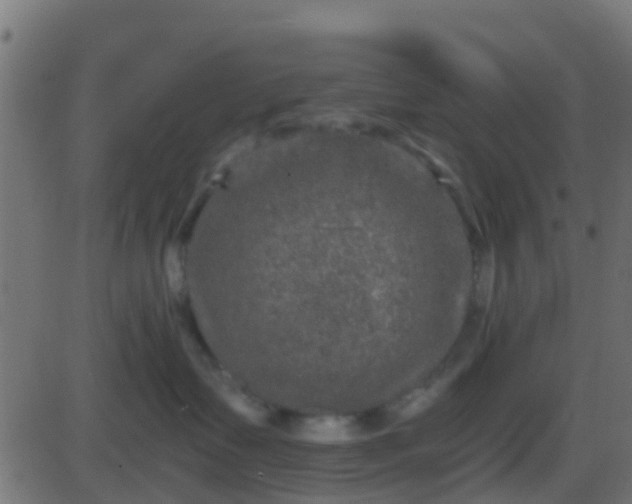 X0000086270335200704051316