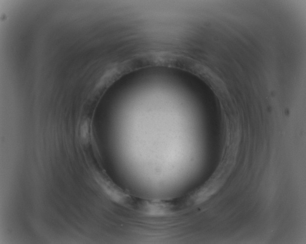 X0000086270336200704051316