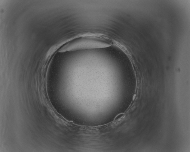 X0000086270337200704051315