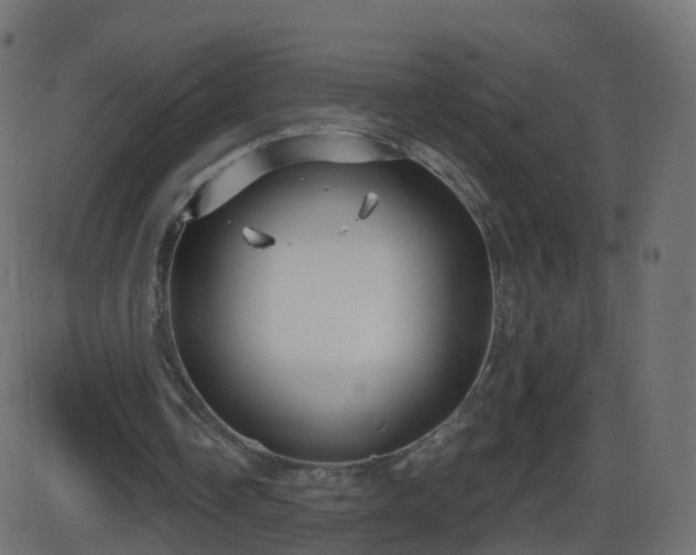 X0000086270338200704051315