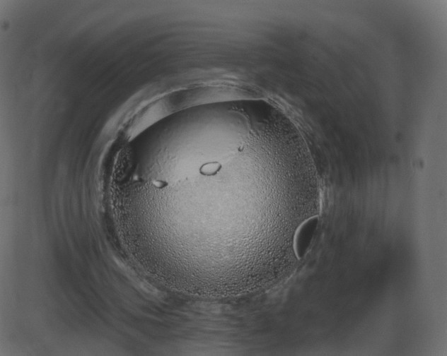 X0000086270339200704051315