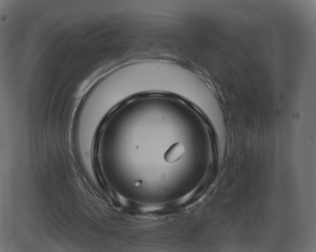 X0000086270340200704051315