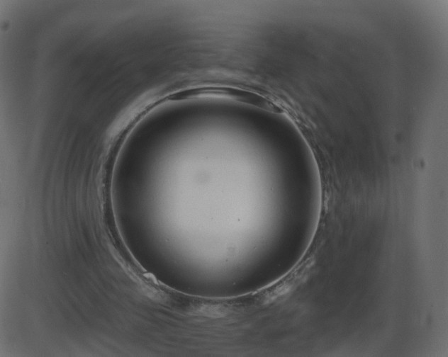 X0000086270341200704051315