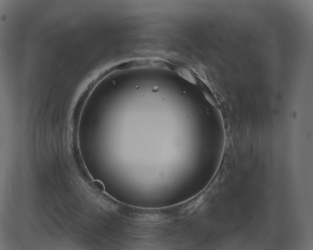 X0000086270342200704051315