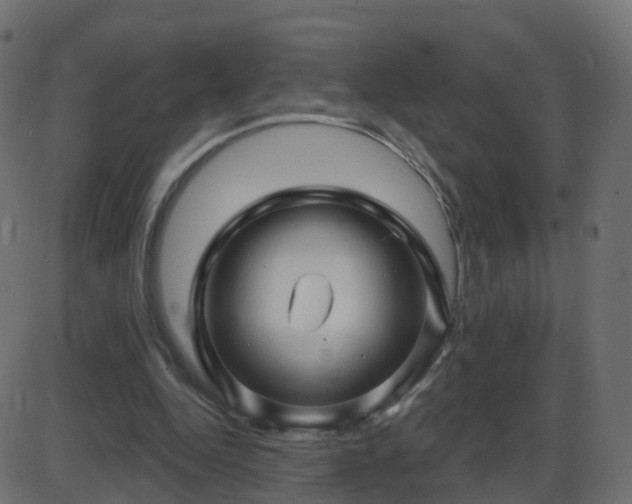 X0000086270344200704051315