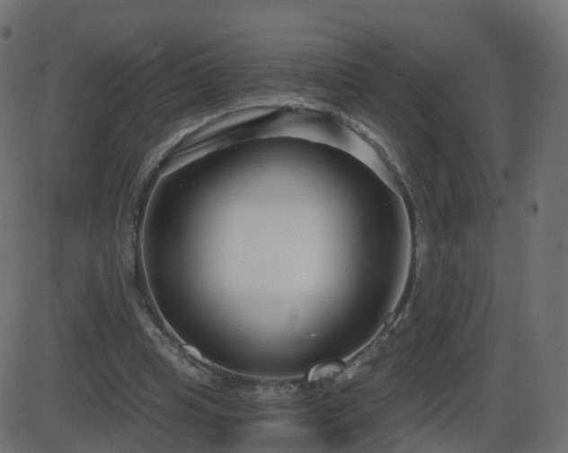 X0000086270345200704051315