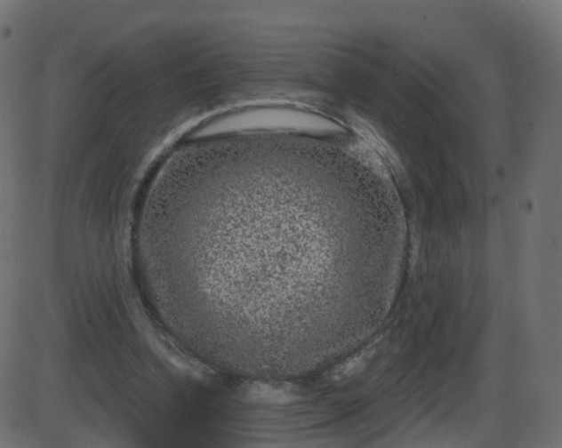 X0000086270346200704051315