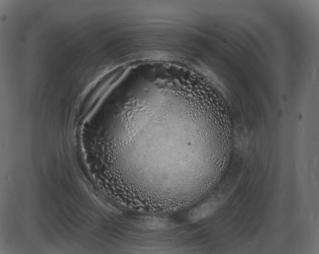 X0000086270347200704051315