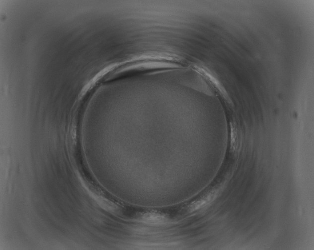 X0000086270348200704051315