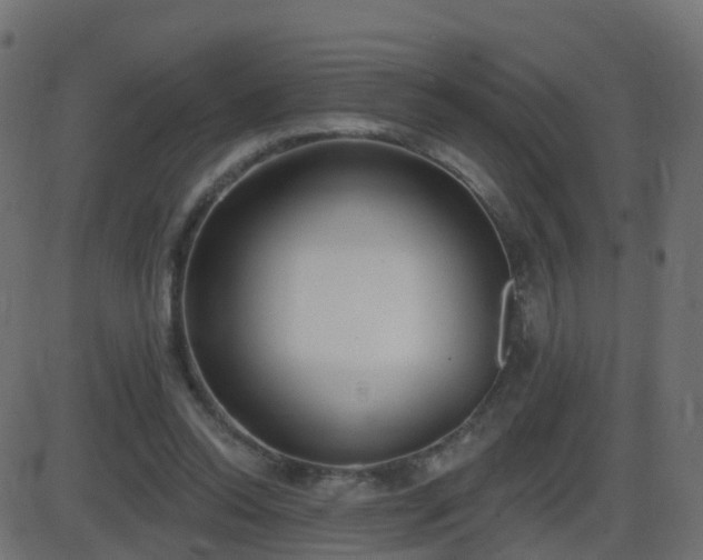 X0000086270350200704051315