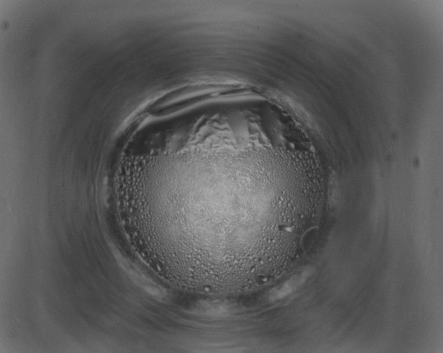 X0000086270351200704051315