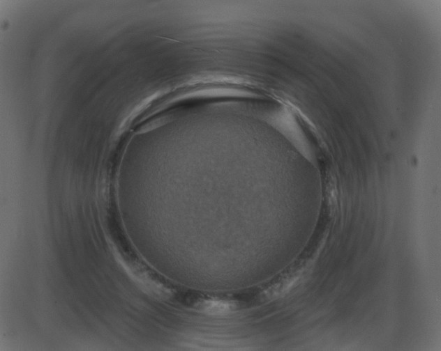 X0000086270352200704051315