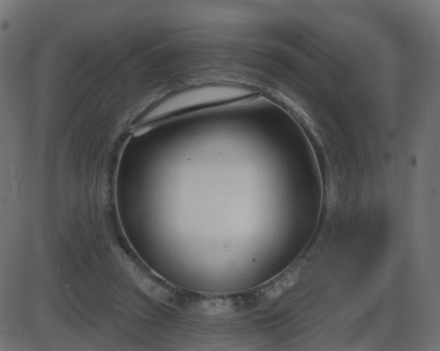 X0000086270353200704051315