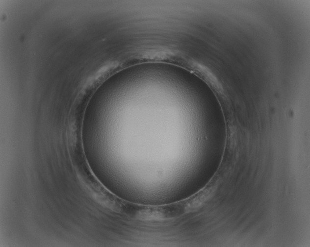 X0000086270354200704051315