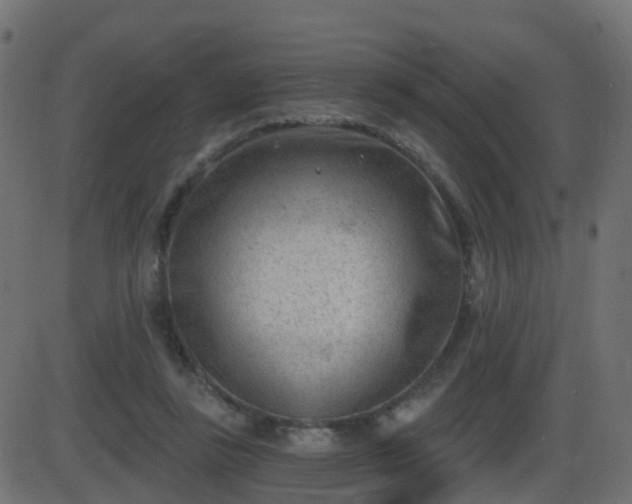 X0000086270355200704051315