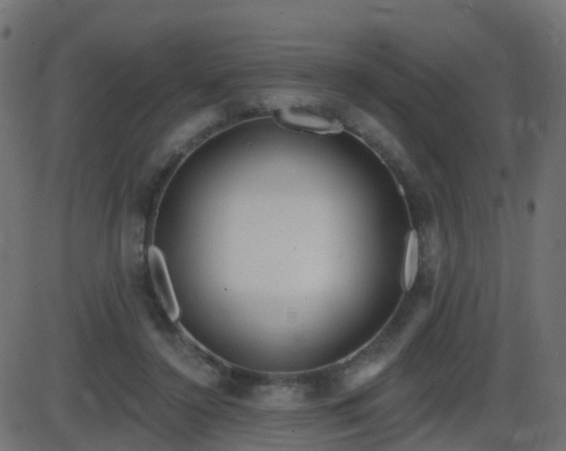 X0000086270356200704051315