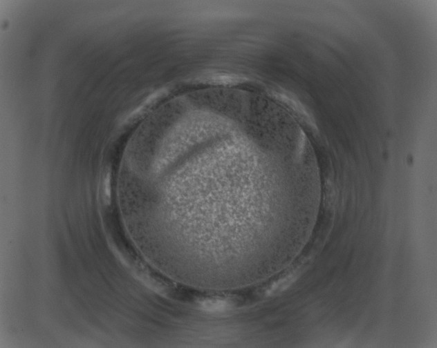 X0000086270358200704051315