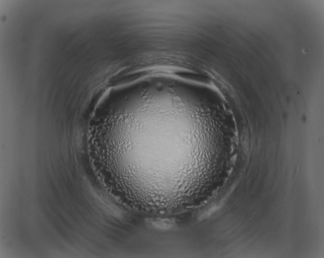 X0000086270359200704051315