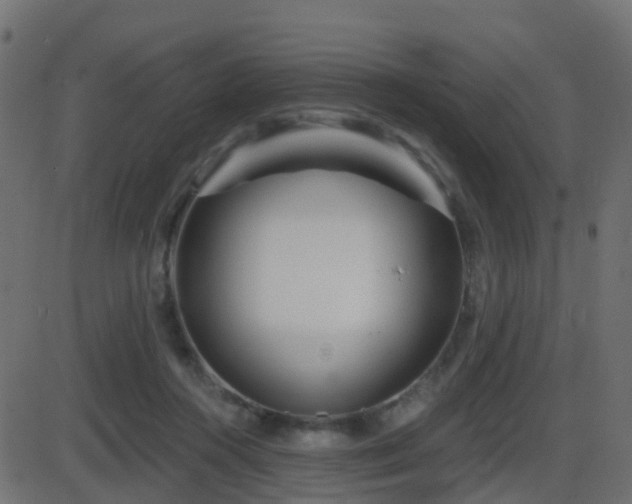 X0000086270360200704051315