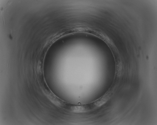 X0000086270361200704051315