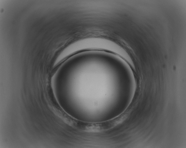 X0000086270362200704051315