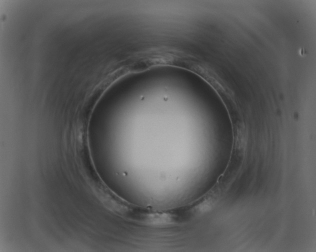 X0000086270363200704051315