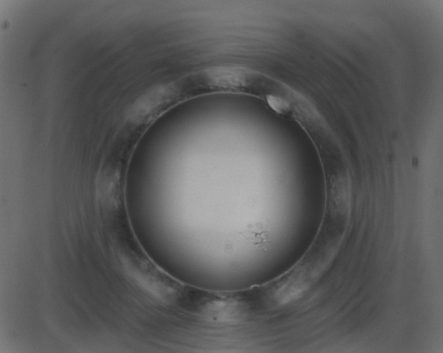 X0000086270364200704051315