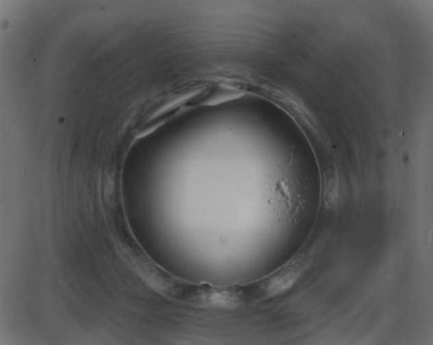 X0000086270365200704051315