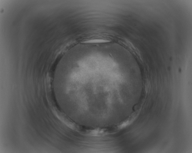 X0000086270366200704051315