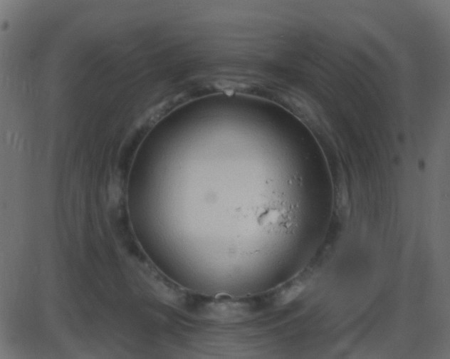 X0000086270367200704051315