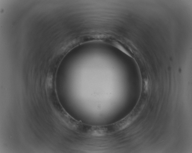 X0000086270368200704051315