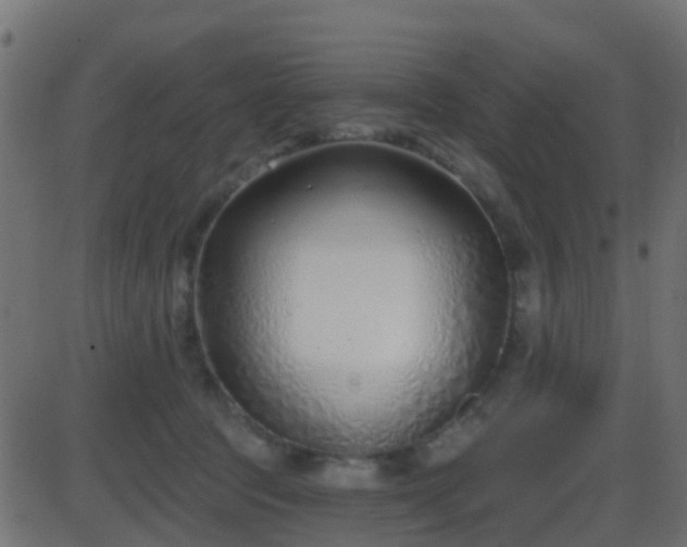 X0000086270369200704051315