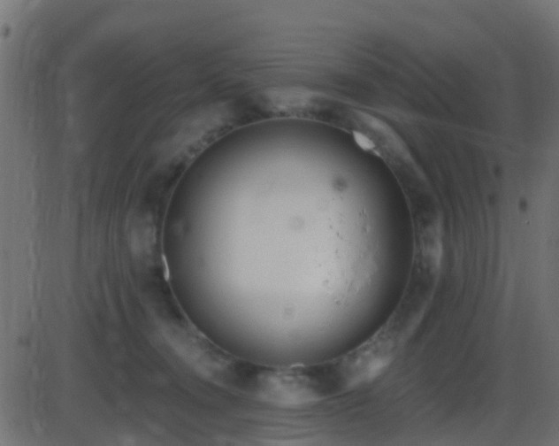 X0000086270372200704051315