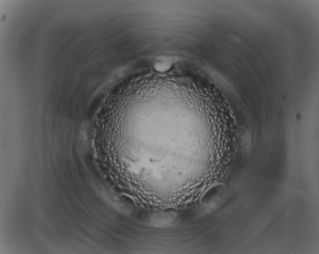 X0000086270373200704051315