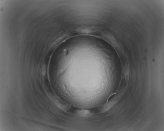 X0000086270374200704051315