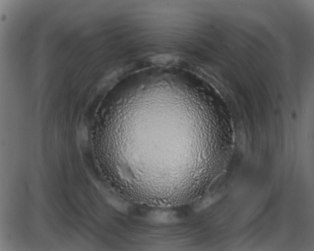 X0000086270375200704051315