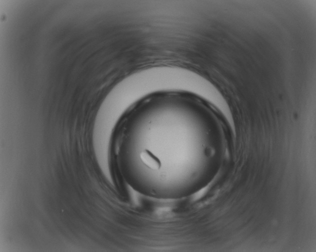 X0000086270376200704051315