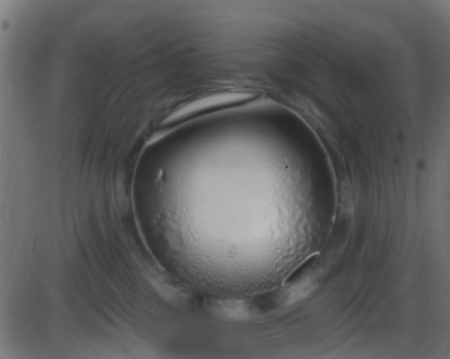 X0000086270377200704051315