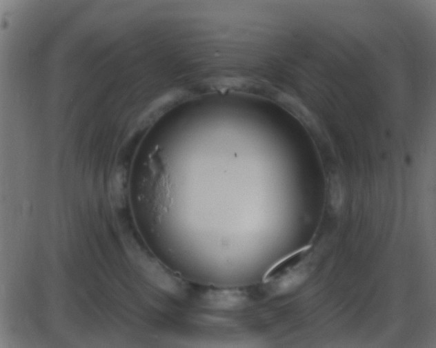 X0000086270378200704051315